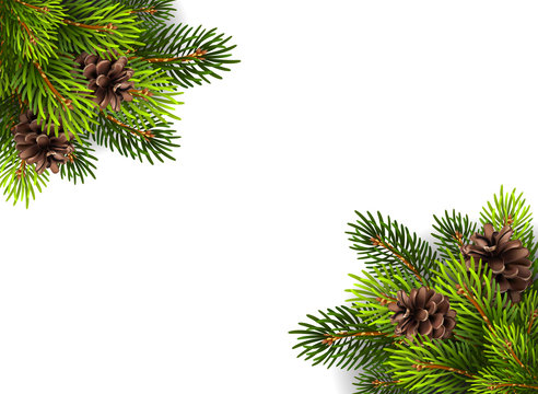 Stock illustration of Christmas tree branches with pine cones