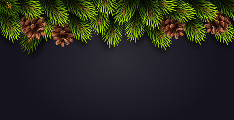 Christmas decoration with fir branches and cones on dark background