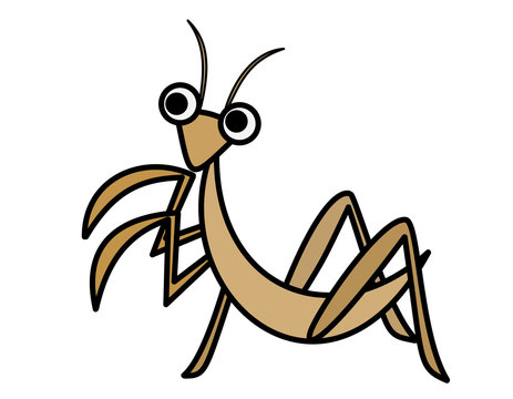 カマキリ(茶)