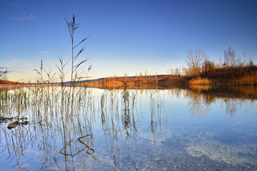 Clear Calm Lake with Reeds in the Warm Light of the Rising Sun