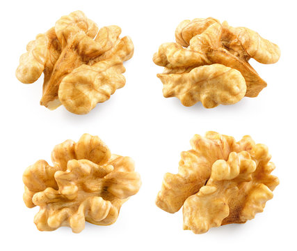 Walnut. Walnut isolated. With clipping path.