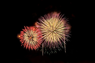 Fototapeta na wymiar Flashes of colorful firework salute