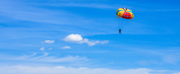 Please write a description 