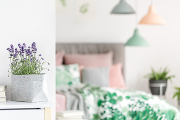 Flowers in material pot