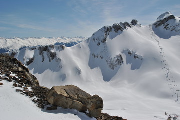 Высокая гоа в снегу