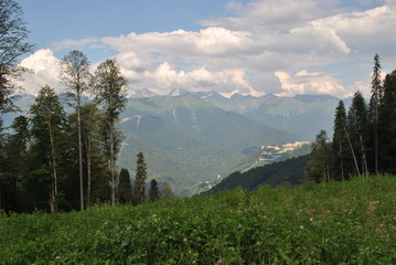 Лес, высокая гора под облаками