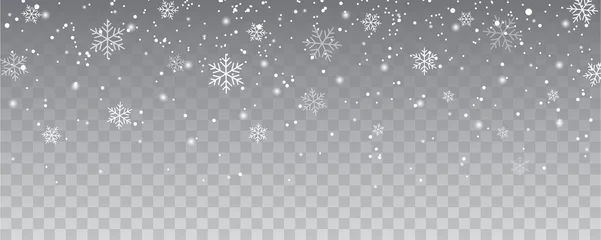 Foto op Plexiglas Snowflakes falling christmas decoration isolated background. White snow flying on transparent © kaisorn