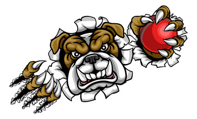 Bulldog Cricket Sports Mascot