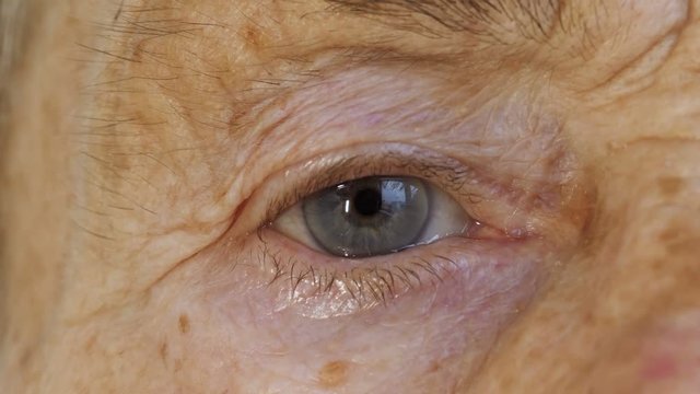 Face of elderly person, woman aged 81 years