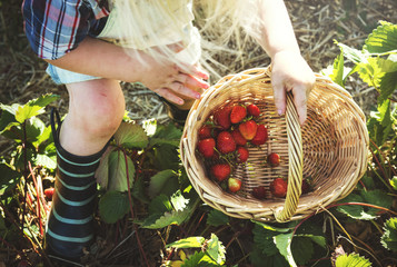 Cultivate Garden Nature Seasonal Growth Concept