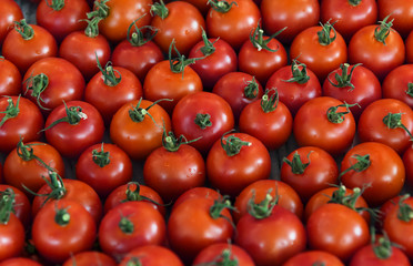 A bunch of fresh tomato produce