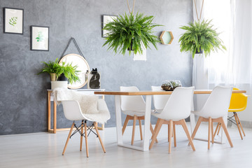 Ferns hanging over dining table