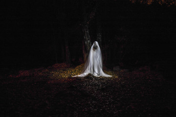 Ghost in the forest