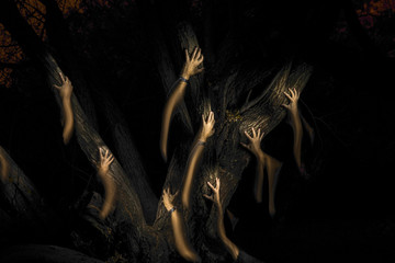 Dark hands in the darkness of the forest