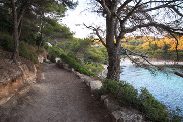 Fototapeta premium sentiero verso Cala Macarella - isola di Minorca (Baleari)