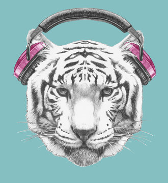 Portrait of Tiger with headphones. Hand-drawn illustration.