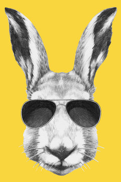Portrait of  Hare with glasses, hand-drawn illustration