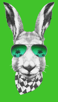 Portrait of  Hare with sunglasses and scarf, hand-drawn illustration.