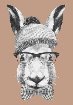 Portrait of  Hare with, hand-drawn illustration.
