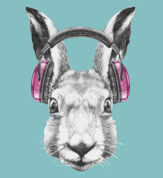 Portrait of  Hare with headphones, hand-drawn illustration