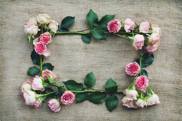 romantic frame of roses