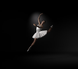 Young and beautiful ballerina with white tutu - obrazy, fototapety, plakaty