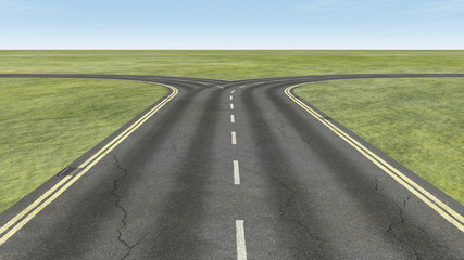 Fototapeta premium In front of a bifurcation