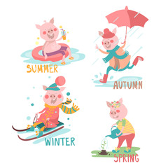 Cartoon, funny pigs with seasonal activity set - summer, autumn, winter, spring. Swimming pig in pool float, piggy jumping in the puddle with umbrella, piglet on a sledge, and swine watering a flower