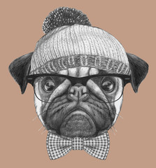 Portrait of Hipster Dog. Portrait of Pug with glasses, bow tie and hat. Hand-drawn illustration.