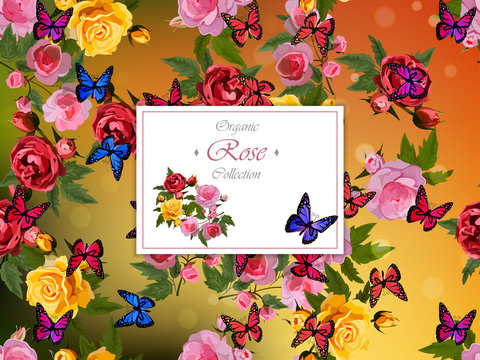 gental reose illustration. Rose flowers. Wedding or celebration invitation with roses.