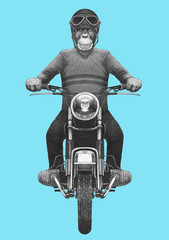 Monkey rides motorcycle. Hand-drawn illustration.