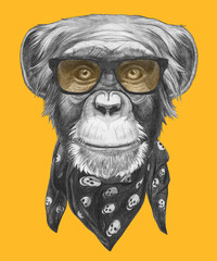 Portrait of Monkey with glasses and scarf . Hand-drawn illustration.