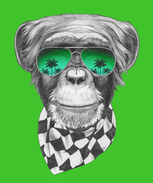 Portrait of Monkey with glasses and scarf. Hand-drawn illustration.