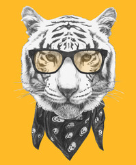 Portrait of Tiger with glasses and scarf. Hand-drawn illustration.