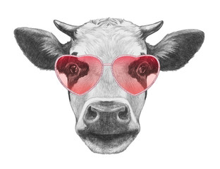 Obraz premium Cow in Love! Portrait of Cow with sunglasses, hand-drawn illustration