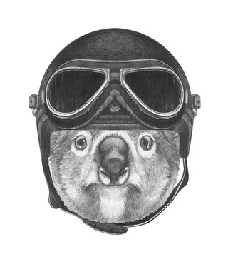 Portrait of Koala with vintage helmet, hand-drawn illustration