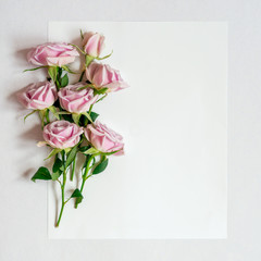Flowers pink roses lie on white paper