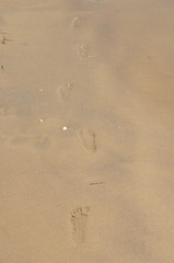 Fototapeta na wymiar Fußspuren im Sand am Strand, Fußabdrücke 