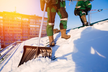 Team of male workers clean roof of building from snow with shovels in securing belts of mantra.