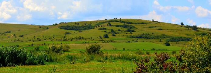 Harvesting time and corn field. Typical rural landscape in the plains of Transylvania, Romania. Green landscape in the midsummer, in a sunny day © svlase