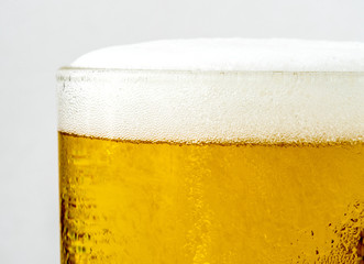 Macro shot of beer