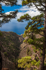 Fototapeta na wymiar Barranco auf La Palma