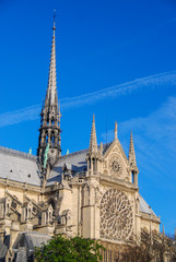 Obraz premium Notre Dame cathedral tower and west facade, Paris