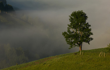 Hilltop