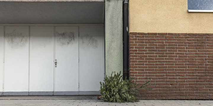Weihnachtsbaum liegt ungeschm&uuml;ckt am Stra&szlig;enrand