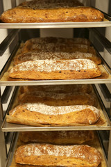 Trays with fresh bread