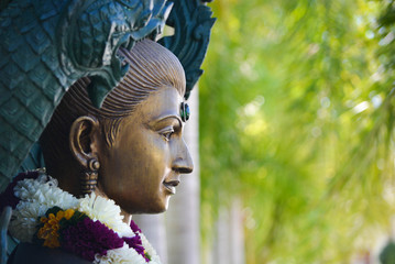 Buddha and great naga