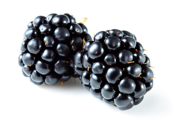 Blackberry isolated on white. Blackberries.