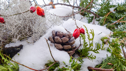 Winterdekoration