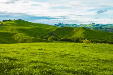 Abwaschbare Fototapete Neuseeland Hügel von Neuseeland